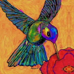 HUMMINGBIRD ON YELLOW